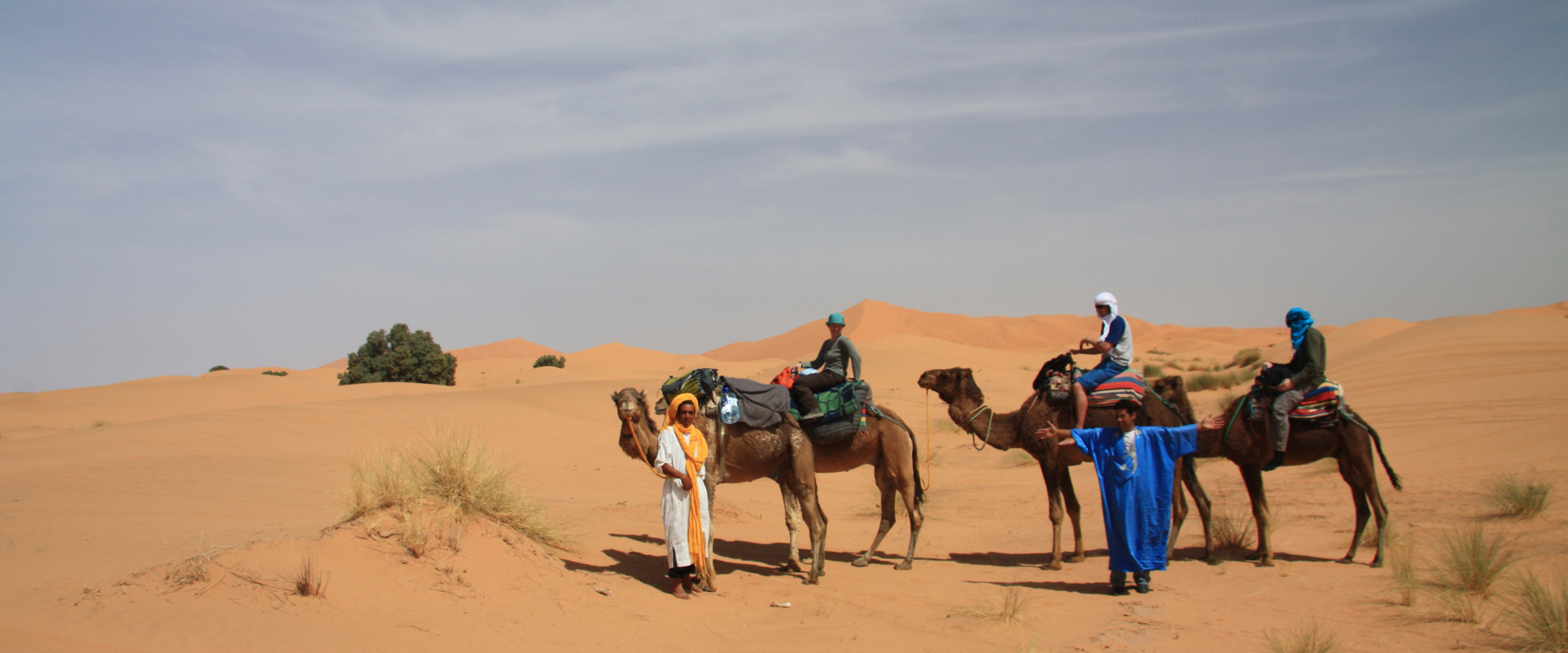 Camel Trek, the perfect way to explore the desert