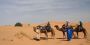 Camel Trek, the perfect way to explore the desert